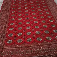 قالی ۱۲ متری و۶متری تمیز بدون پارگی وزدگی|فرش|گرگان, |دیوار