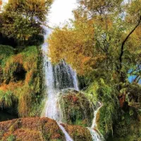 تور شکارچیان سفر