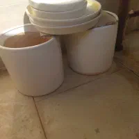 گلدان سرامیکی|گل و گیاه طبیعی|یزد, |دیوار