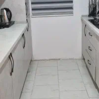 پرده زبرا نو ،دو عدد کاملا تمیز وسالم
