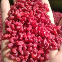 زرشک قائنات|خدمات پذیرایی، مراسم|قائن, |دیوار