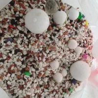 وسایل آکواریوم