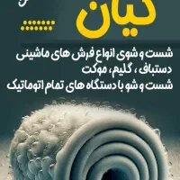 قالیشویی کیان