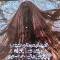 خریدو فروش موهای طبیعی و رنگی باقیمت میلیونی  هستم|خدمات آرایشگری و زیبایی|داراب, |دیوار