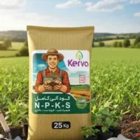 میدونی خاکت چی کم داره