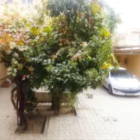 فروش خانه ویلایی۲۵۳ متری ۳ خوابه در بوزان|فروش خانه و ویلا|اصفهان, بوزان|دیوار
