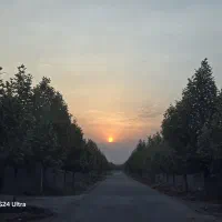 یک قطعه باغ به متراژ ۱۳۲۰ متر با سند تک برگ|فروش زمین و ملک کلنگی|شیراز, شاه قلی بیگی|دیوار
