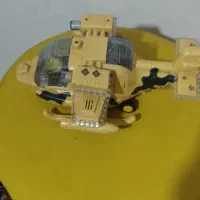 صدف|کلکسیون و سرگرمی|سرپل ذهاب, |دیوار