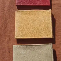 کیف پول دونه ای ۶هزار