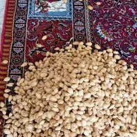 نیازمندیک نفرباغبان|خدمات باغبانی و درختکاری|خرم‌آباد, |دیوار