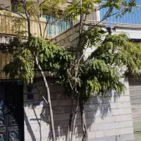 فروش-خانه-دربستی-150-متری-تاپ-لوکیشن