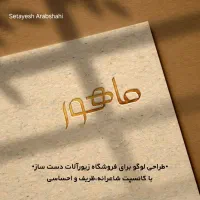 لوگو اختصاصی با حس و حال برند شما|خدمات رایانه‌ای و موبایل|زاهدان, |دیوار