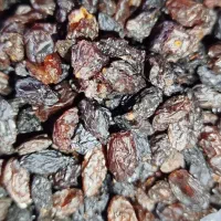 فروش کشمش|خوردنی و آشامیدنی|ایوان, |دیوار