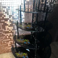 اتاژور|کتابخانه، شلف، قفسه‌های دیواری|تهران, محمودیه|دیوار