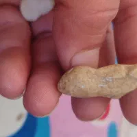 سنگ‌های قیمتی|کلکسیون اشیاء عتیقه|شیراز, حومه شیراز|دیوار