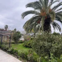 ویلا باغ ۱۲۰۰ متری در شهرک بره جاده