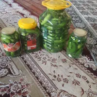 خیارشور خانگی