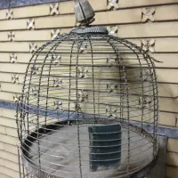 قفس پرنده|لوازم جانبی حیوانات|شیراز, شهرک استقلال|دیوار