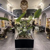 استخدام آرایشگر مردانه درصدی