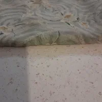 پارچه مجلسی|لباس|کرج, باغ سیب|دیوار