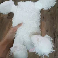 عروسک سگ سفید پشمالو|اسباب‌بازی بچه|شهریار, شهریار|دیوار