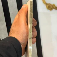 ایفون13پرومکس|موبایل|شوش, |دیوار