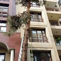 قطع وهرس درخت با اره موتوری و اره برقی