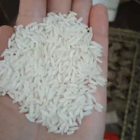 بزنج هاشمی