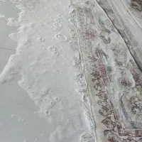 قالیشویی نیک پی|خدمات نظافت|اهواز, کارون|دیوار