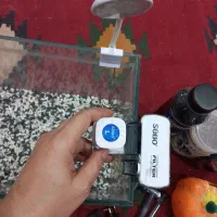آکواریوم|ماهی|تهران, دولتآباد|دیوار