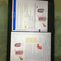 ردمی پد پرو +قلم|تبلت|خرم‌آباد, |دیوار