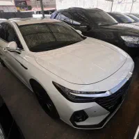 آریزو۸ خشک اکسلنت