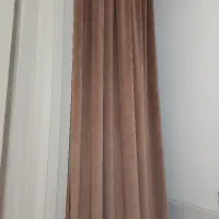 مخمل ترک کالیفرنیا