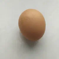 تخم مرغ محلی ۱۵