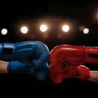 حریف تمرینی بوکس