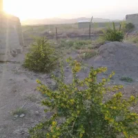 باغ ویلا جاده پهنایی با اتاق و استخر و اب ملکی|فروش خانه و ویلا|قائن, |دیوار