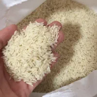 برنج طارم ،بوجاری شده|خوردنی و آشامیدنی|ساری, |دیوار