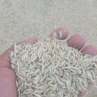 فروش جو