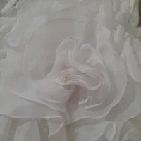 پیراهن مجلسی دخترانه|کفش و لباس بچه|تهران, تهرانسر غربی|دیوار