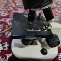 میکرسکوپKE|پزشکی|قم, انسجام|دیوار