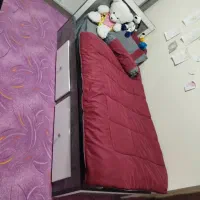 دو عدد تخت یکنفره MDF