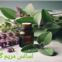 آموزش و مدرک معتبر عطاری و گیاهان دارویی|خدمات آموزشی|شیراز, ملاصدرا|دیوار
