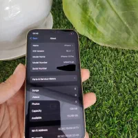 iPhone 12 pro|موبایل|تربت جام, نظامی|دیوار