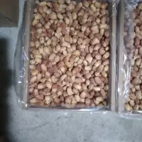 خرما زاهدی درجه یک فروشی