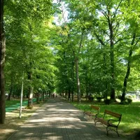 ۸۵ متری دوخوابه صفر/برند          ویــو پــارکـ