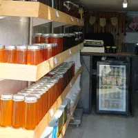 عسل چهل گیاه طبیعی نیکیتا مستقیم از تولیدکننده