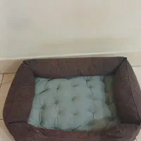 جای خواب سگ