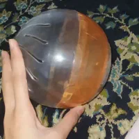 همستر نر|موش و خرگوش|گرگان, |دیوار