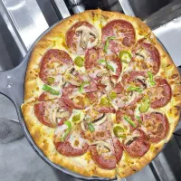 نیروی سالن دار