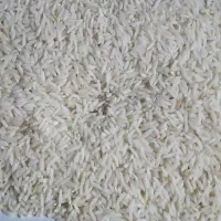 برنج علی کاظمی